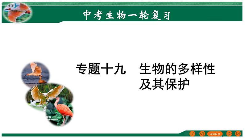 2025年中考生物一轮复习考点练习课件 专题19 生物的多样性及其保护第1页