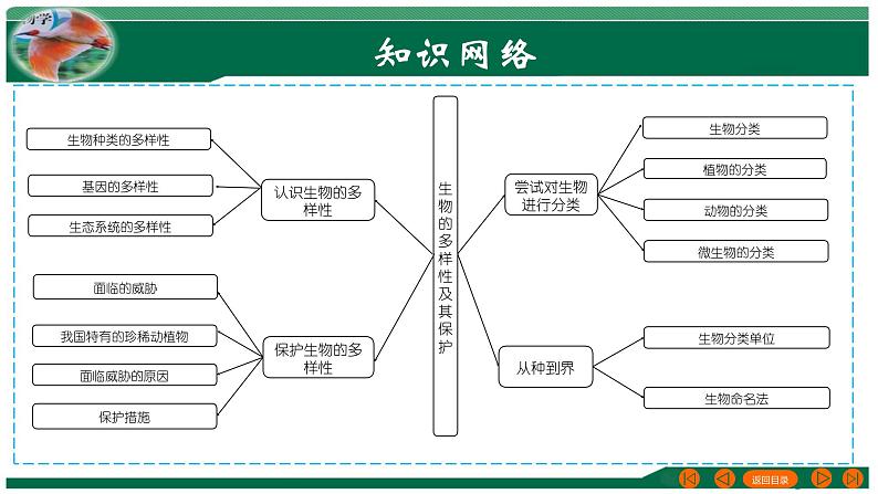 2025年中考生物一轮复习考点练习课件 专题19 生物的多样性及其保护第3页