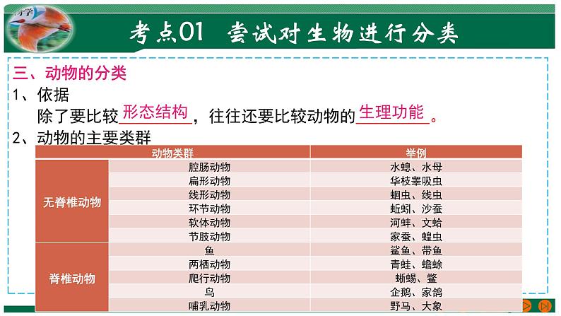 2025年中考生物一轮复习考点练习课件 专题19 生物的多样性及其保护第6页