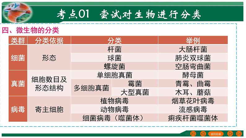 2025年中考生物一轮复习考点练习课件 专题19 生物的多样性及其保护第7页