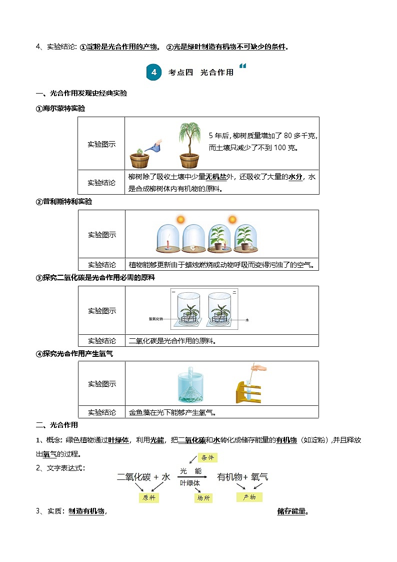 2025年中考生物一轮复习知识清单04 绿色植物的三大作用（5大考点+5大高频命题点）（教师版）第3页