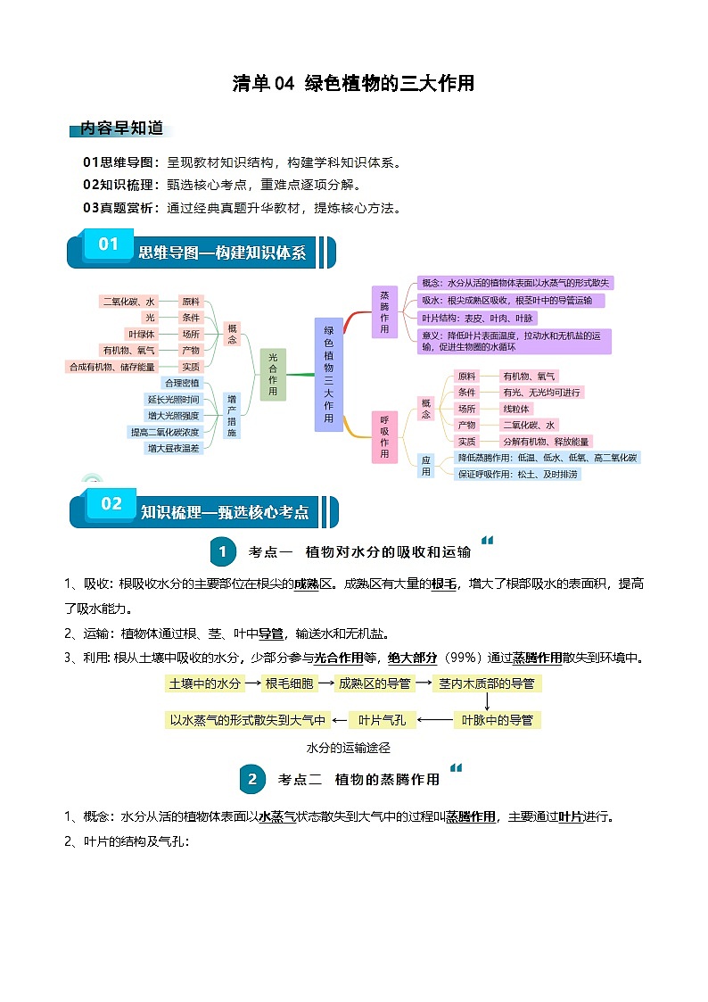 2025年中考生物一轮复习知识清单04 绿色植物的三大作用（5大考点+5大高频命题点）（学生版）第1页
