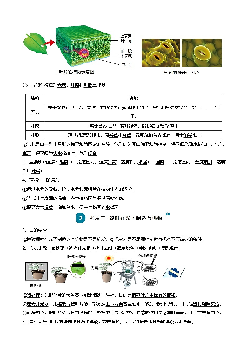 2025年中考生物一轮复习知识清单04 绿色植物的三大作用（5大考点+5大高频命题点）（学生版）第2页