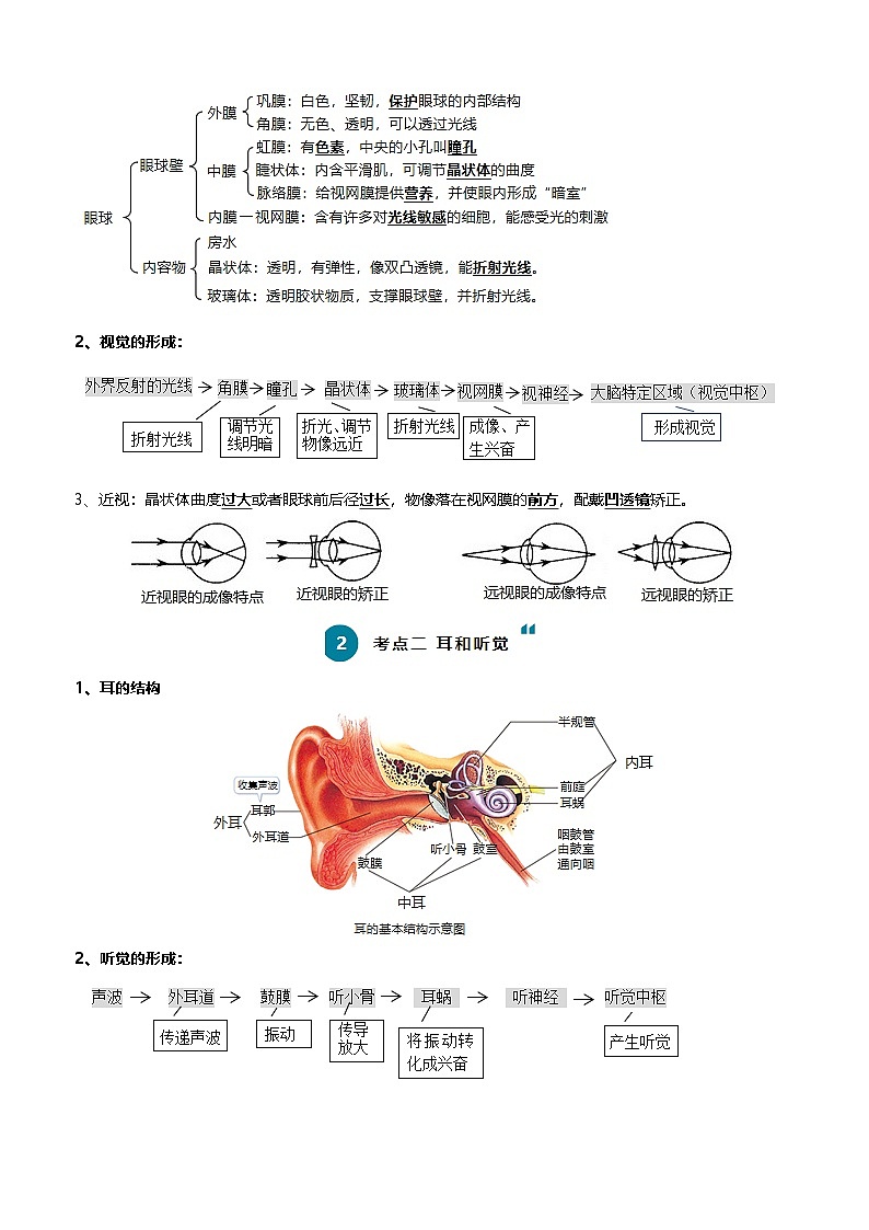 2025年中考生物一轮复习知识清单07 人体生命活动的调节（5大考点+6大高频命题点）（教师版）第2页