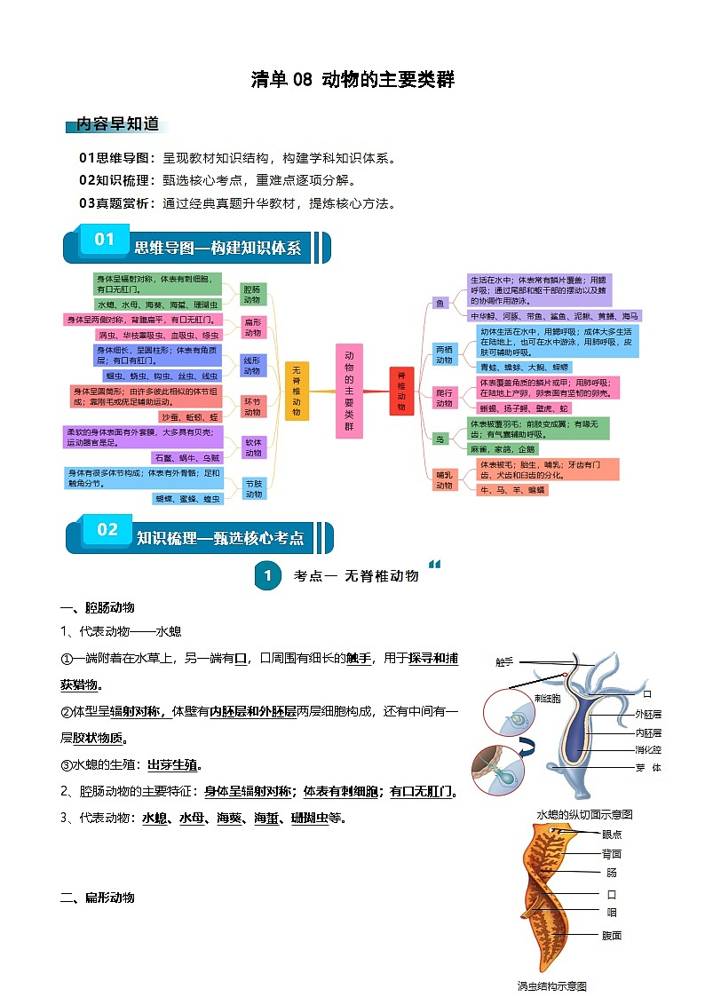 2025年中考生物一轮复习知识清单08 动物的主要类群（2大考点+3大高频命题点）（教师版）第1页