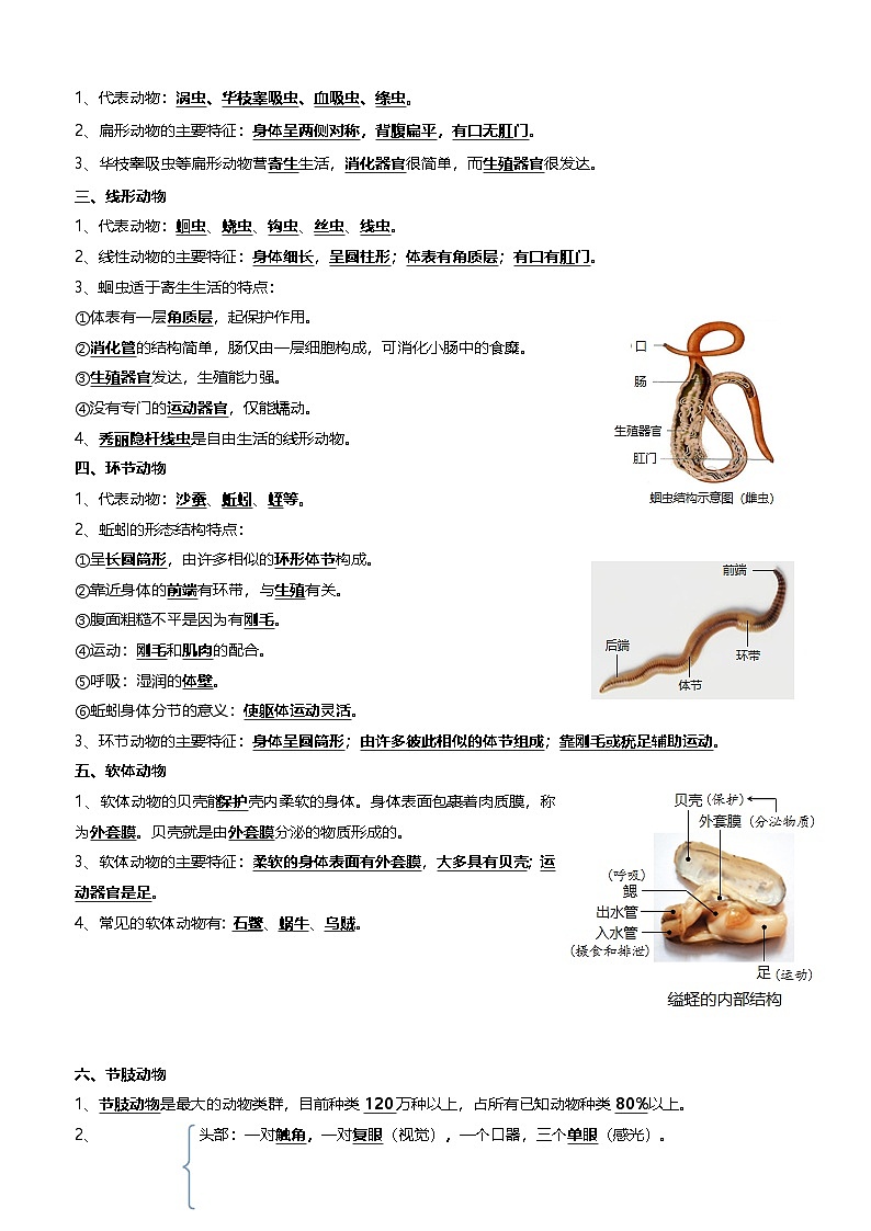 2025年中考生物一轮复习知识清单08 动物的主要类群（2大考点+3大高频命题点）（教师版）第2页