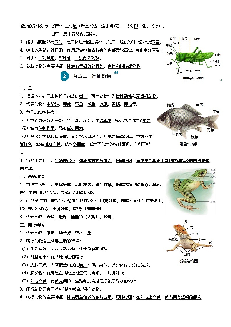 2025年中考生物一轮复习知识清单08 动物的主要类群（2大考点+3大高频命题点）（教师版）第3页