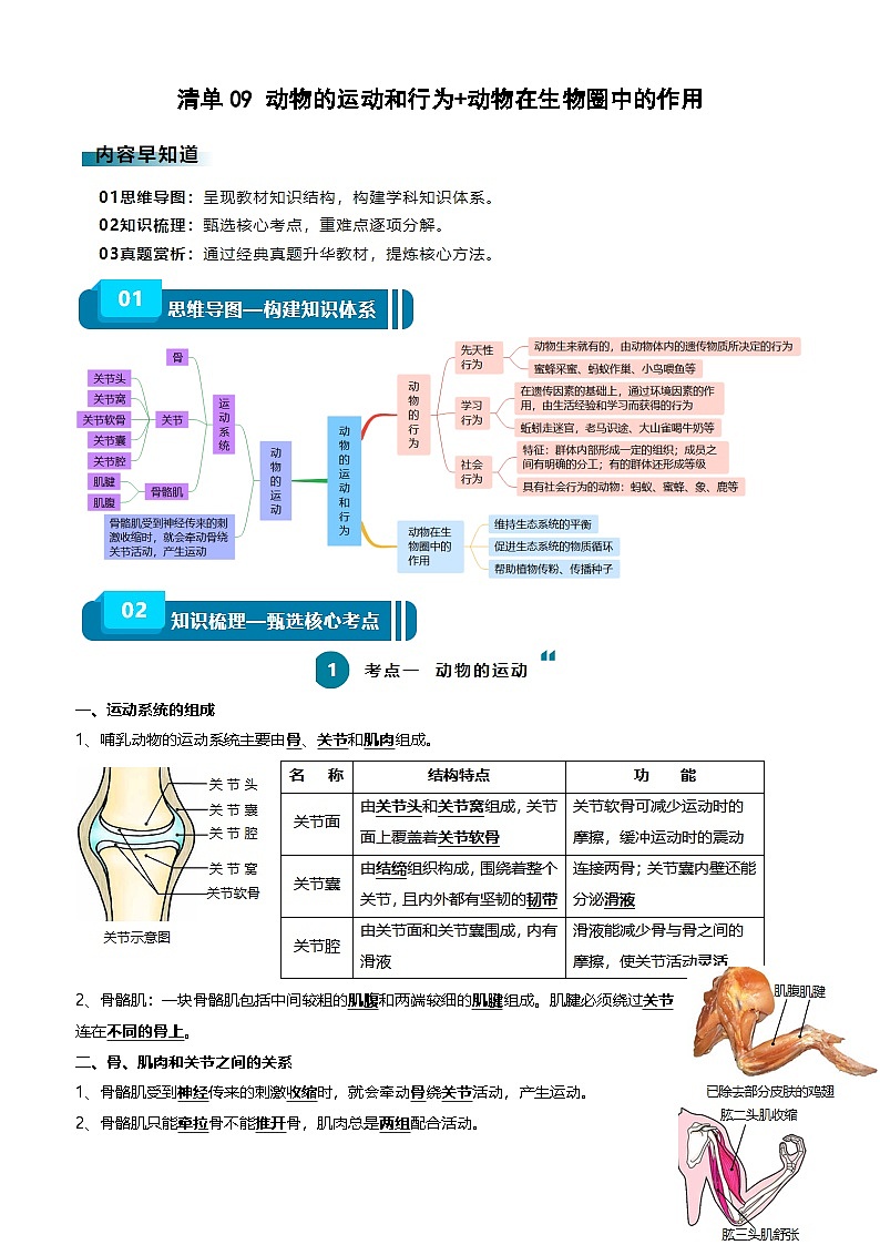 2025年中考生物一轮复习知识清单09 动物的运动和行为+动物在生物圈中的作用（3大考点+4大高频命题点）（教师版）第1页