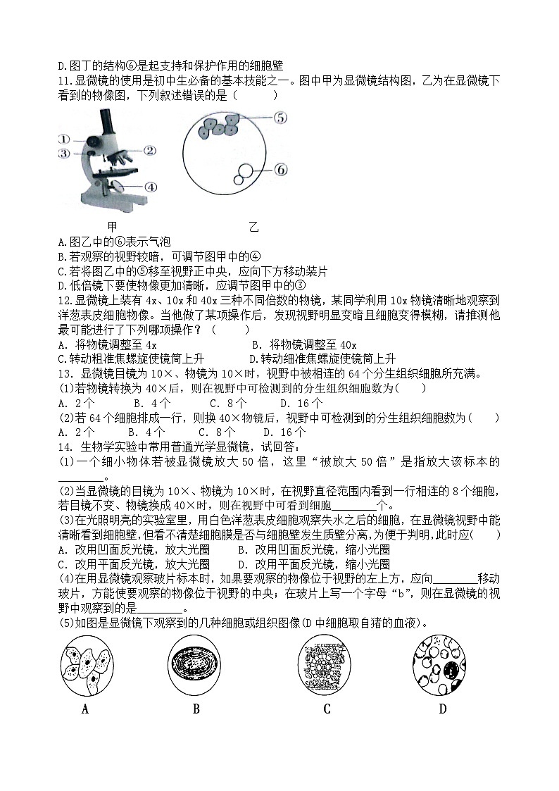 2025年中考生物一轮复习考点通关练习专题03 显微镜的结构、功能和使用（原卷版）第3页