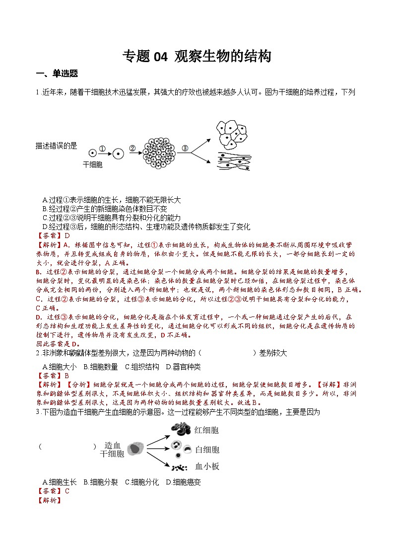 2025年中考生物一轮复习考点通关练习专题04 观察生物的结构（解析版）第1页