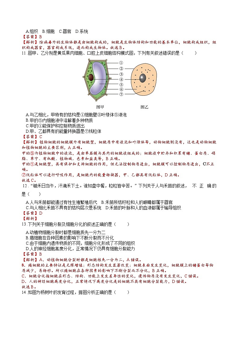 2025年中考生物一轮复习考点通关练习专题04 观察生物的结构（解析版）第3页