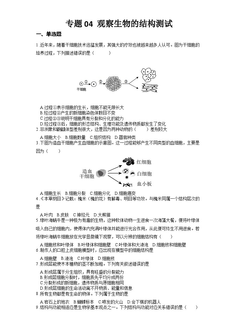 2025年中考生物一轮复习考点通关练习专题04 观察生物的结构（原卷版）第1页