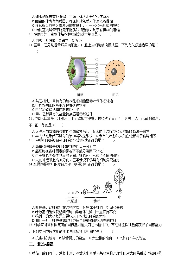 2025年中考生物一轮复习考点通关练习专题04 观察生物的结构（原卷版）第2页