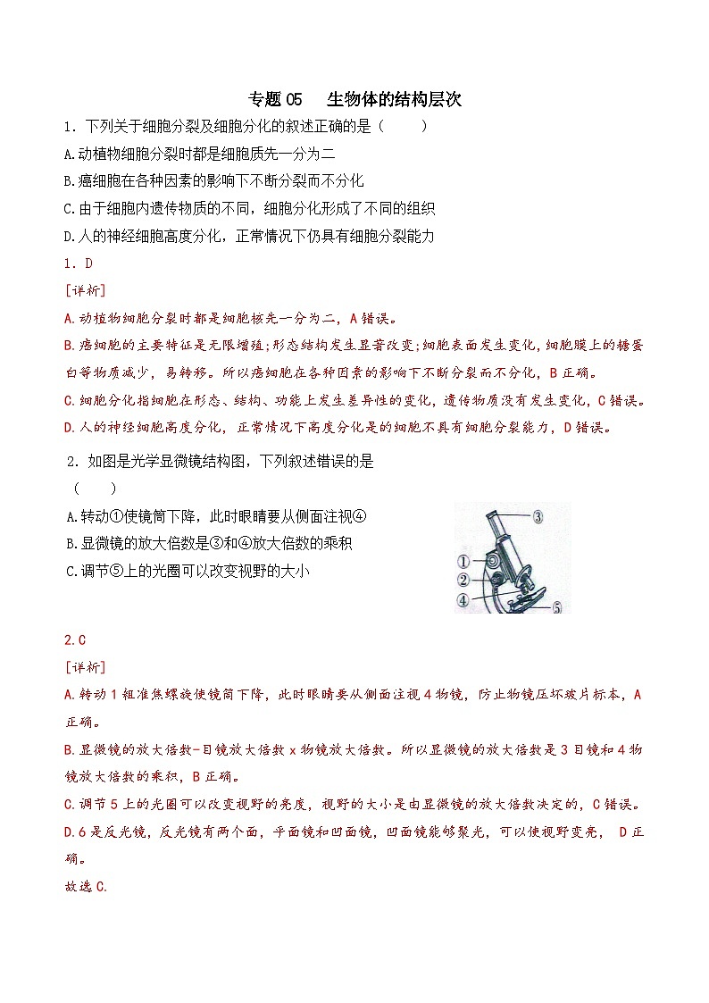 2025年中考生物一轮复习考点通关练习专题05 生物体的结构层次（解析版）第1页