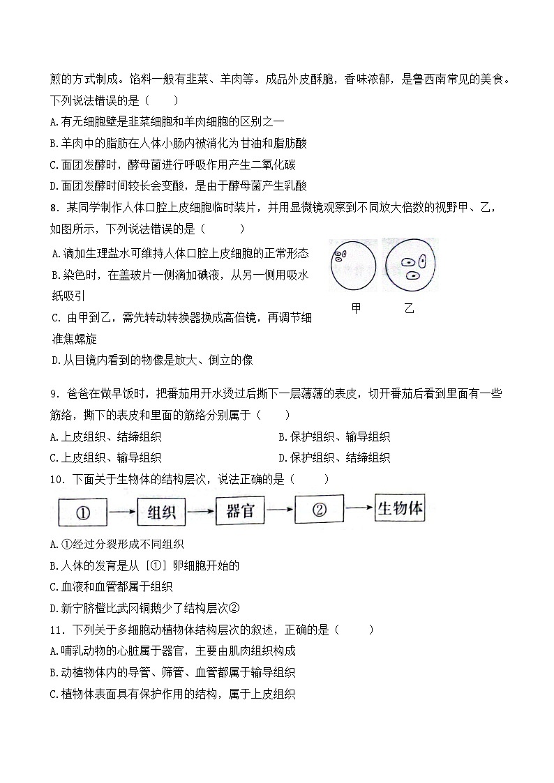 2025年中考生物一轮复习考点通关练习专题05 生物体的结构层次（原卷版）第2页