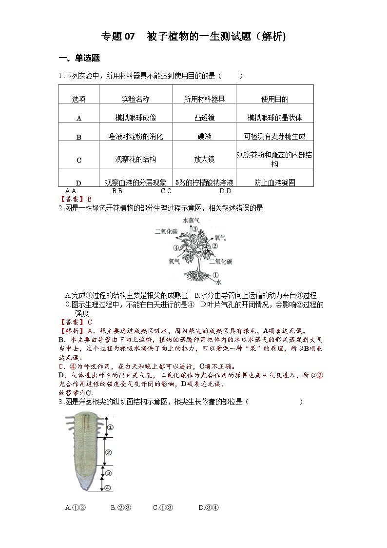 2025年中考生物一轮复习考点通关练习专题07 被子植物的一生（解析版）第1页