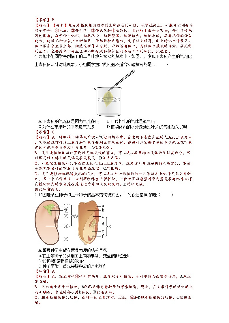 2025年中考生物一轮复习考点通关练习专题07 被子植物的一生（解析版）第2页