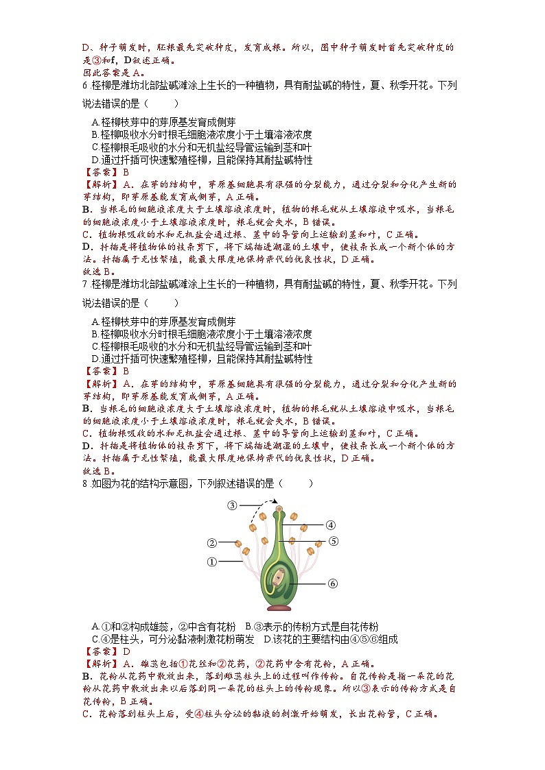 2025年中考生物一轮复习考点通关练习专题07 被子植物的一生（解析版）第3页