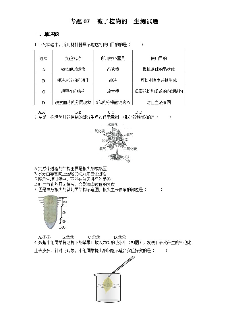 2025年中考生物一轮复习考点通关练习专题07 被子植物的一生（原卷版）第1页