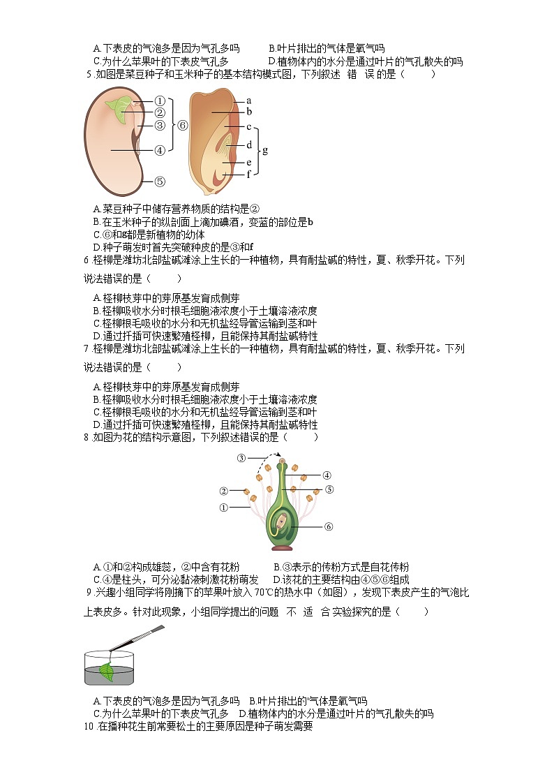 2025年中考生物一轮复习考点通关练习专题07 被子植物的一生（原卷版）第2页