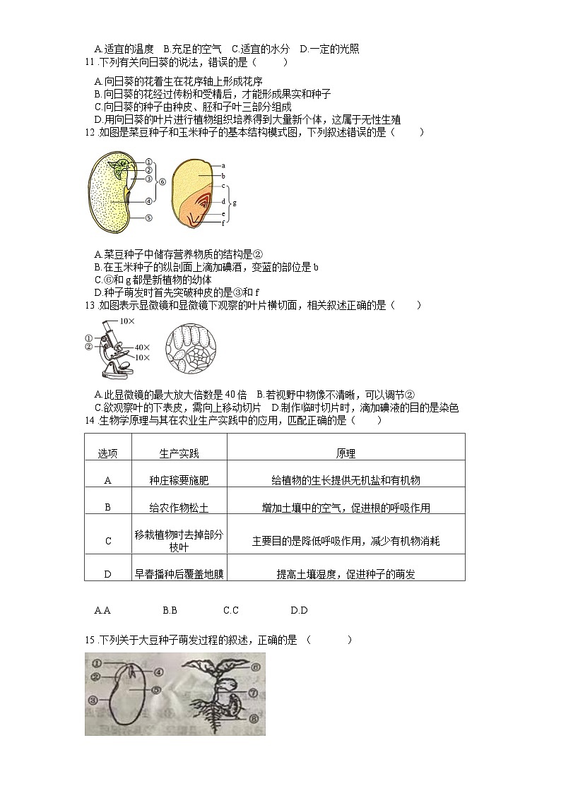 2025年中考生物一轮复习考点通关练习专题07 被子植物的一生（原卷版）第3页