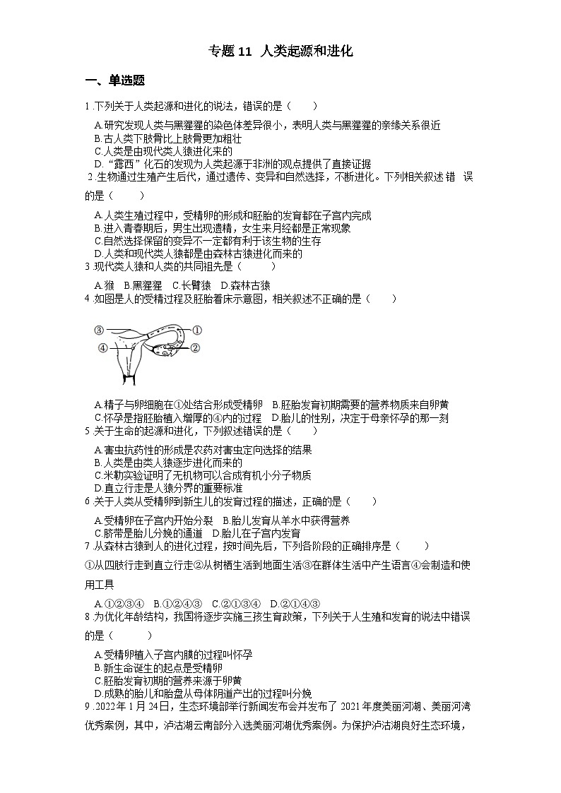 2025年中考生物一轮复习考点通关练习专题11 人类起源和进化（原卷版）第1页