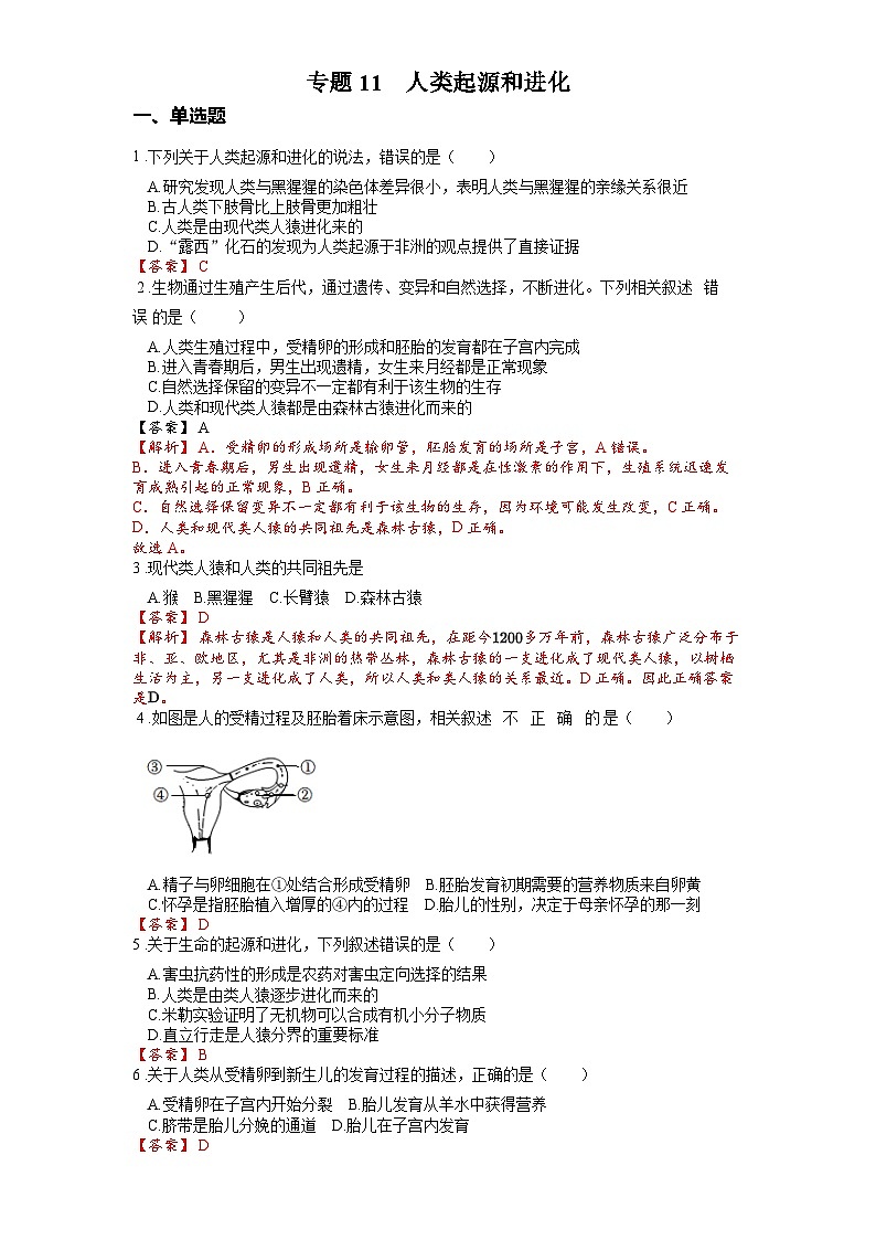 2025年中考生物一轮复习考点通关练习专题11 人类起源和进化（解析版）第1页