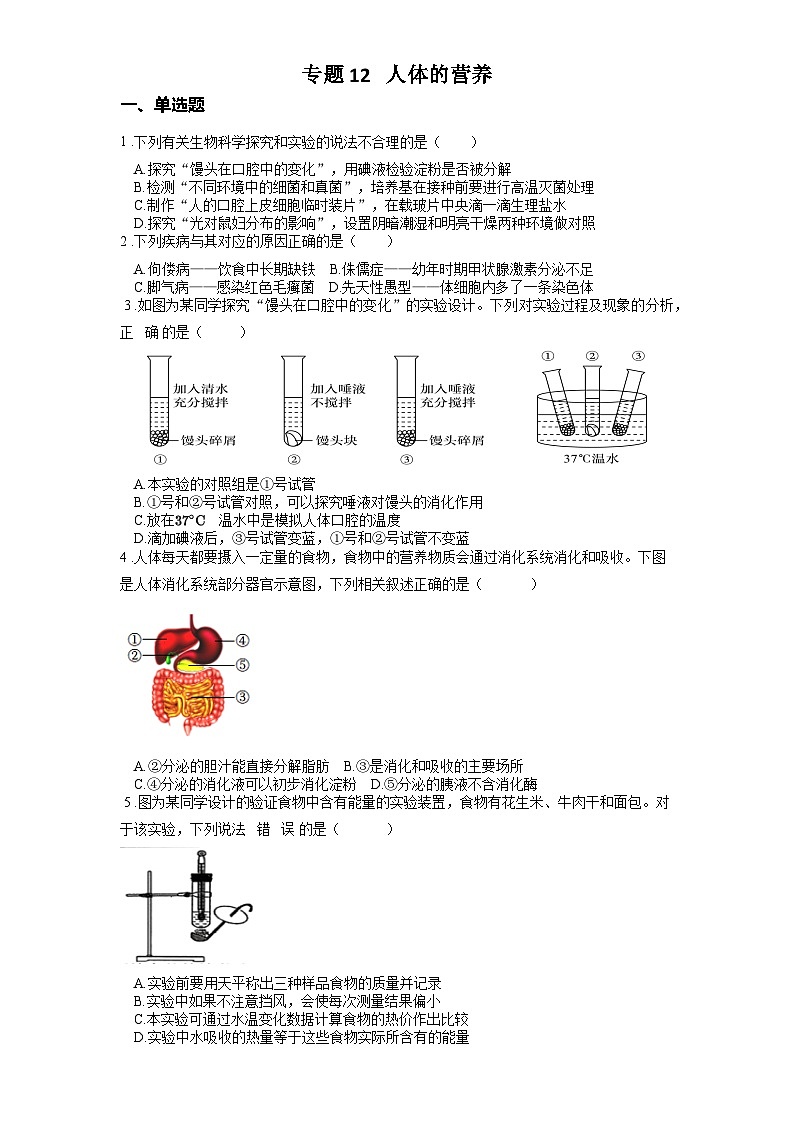 2025年中考生物一轮复习考点通关练习专题12 人体的营养（原卷版）第1页