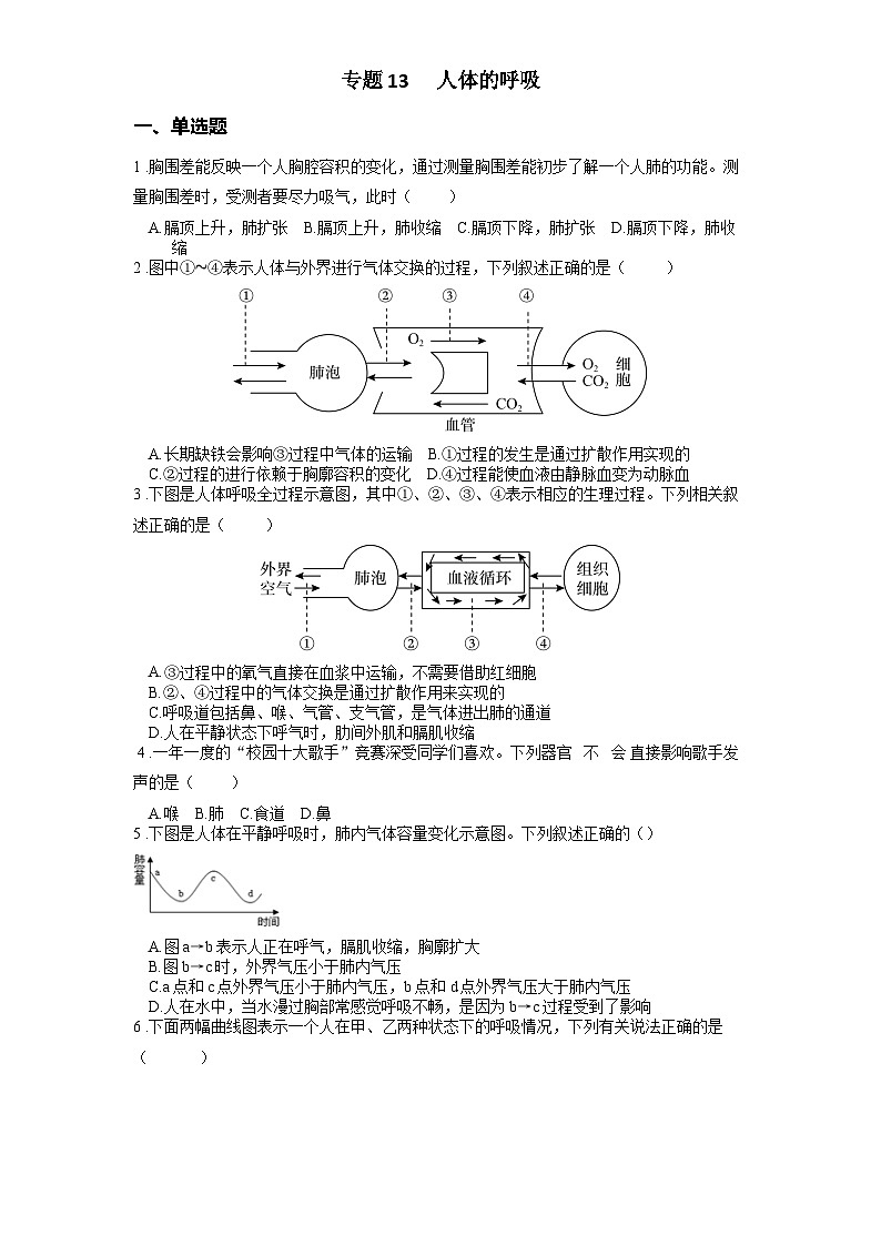 2025年中考生物一轮复习考点通关练习专题13 人体的呼吸（原卷版）第1页