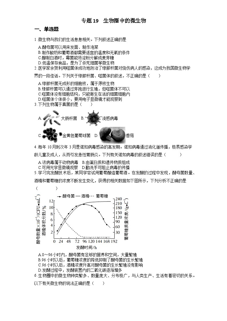2025年中考生物一轮复习考点通关练习专题19 生物圈中的微生物（原卷版）第1页