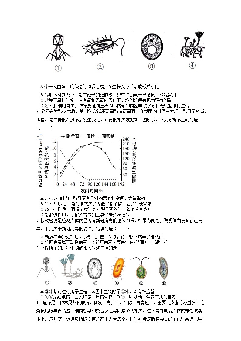 2025年中考生物一轮复习考点通关练习专题19 生物圈中的微生物（原卷版）第2页