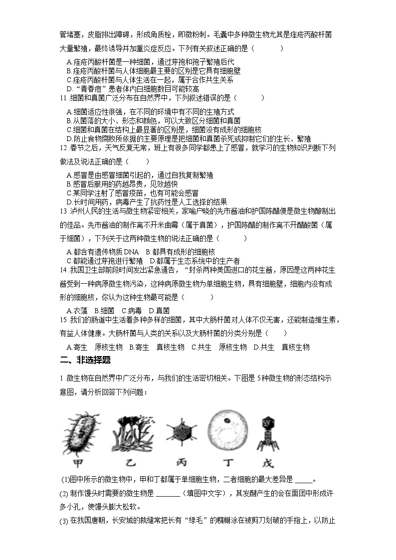 2025年中考生物一轮复习考点通关练习专题19 生物圈中的微生物（原卷版）第3页