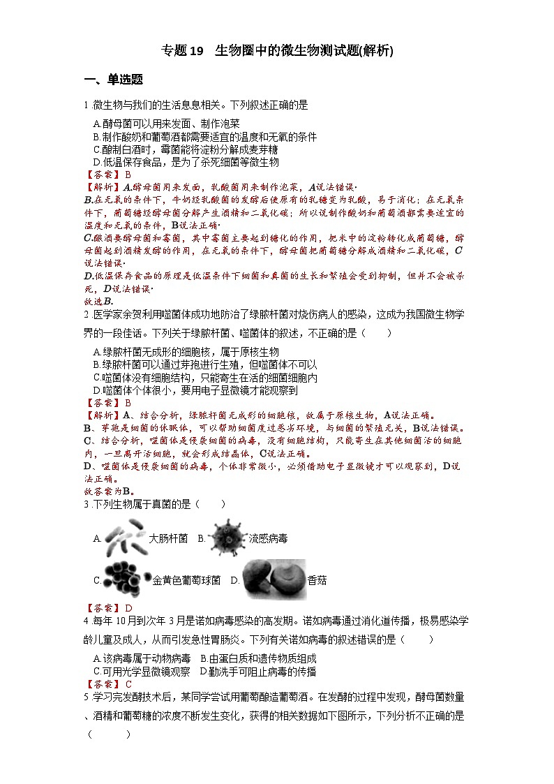 2025年中考生物一轮复习考点通关练习专题19 生物圈中的微生物（解析版）第1页