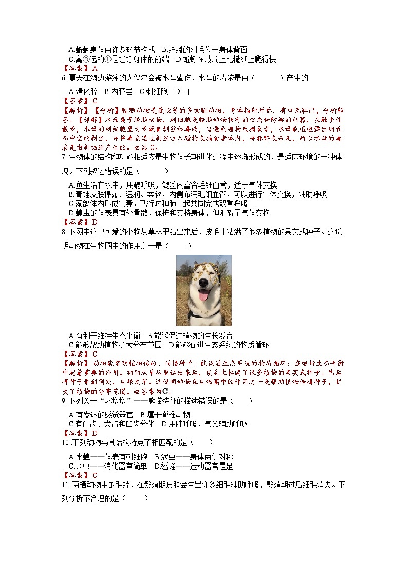 2025年中考生物一轮复习考点通关练习专题20 动物的主要类群（解析版）第2页