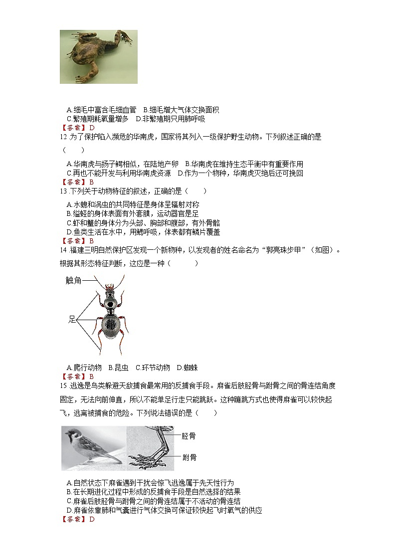 2025年中考生物一轮复习考点通关练习专题20 动物的主要类群（解析版）第3页