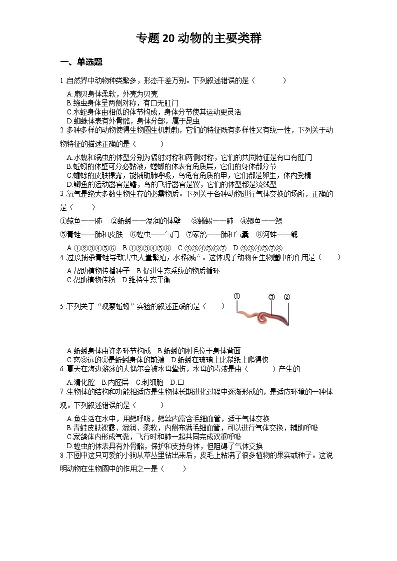 2025年中考生物一轮复习考点通关练习专题20 动物的主要类群（原卷版）第1页