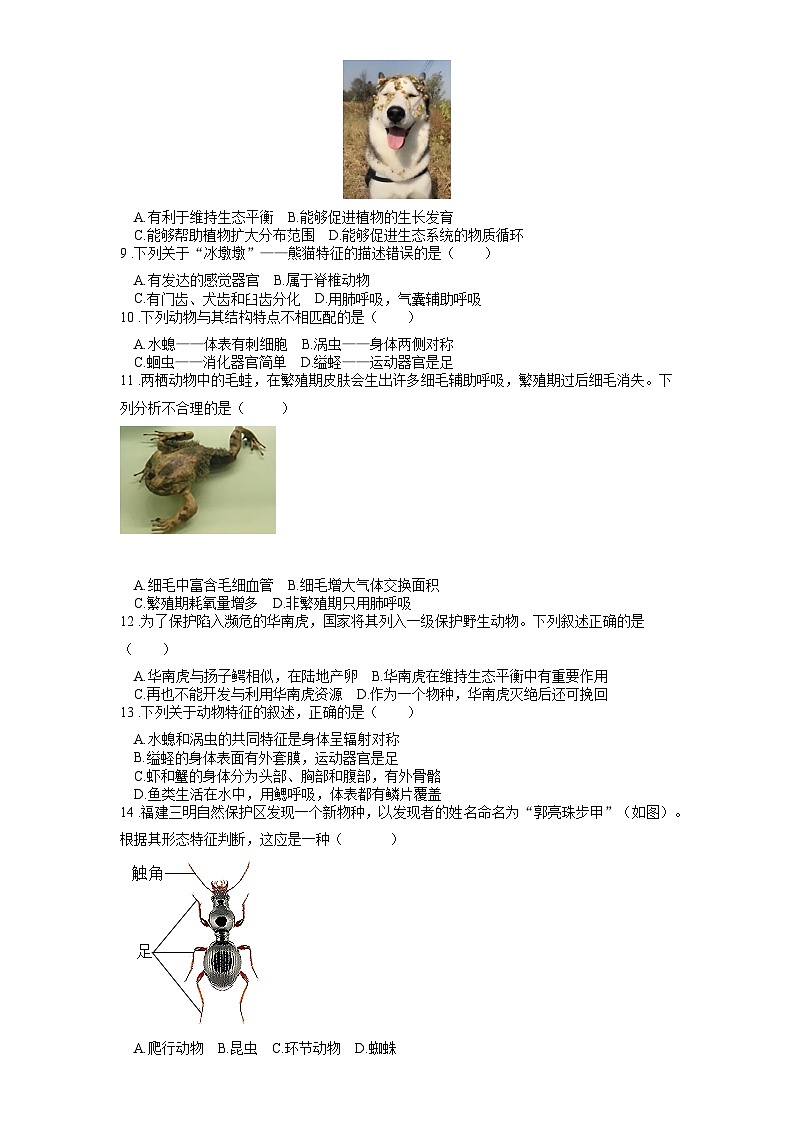 2025年中考生物一轮复习考点通关练习专题20 动物的主要类群（原卷版）第2页