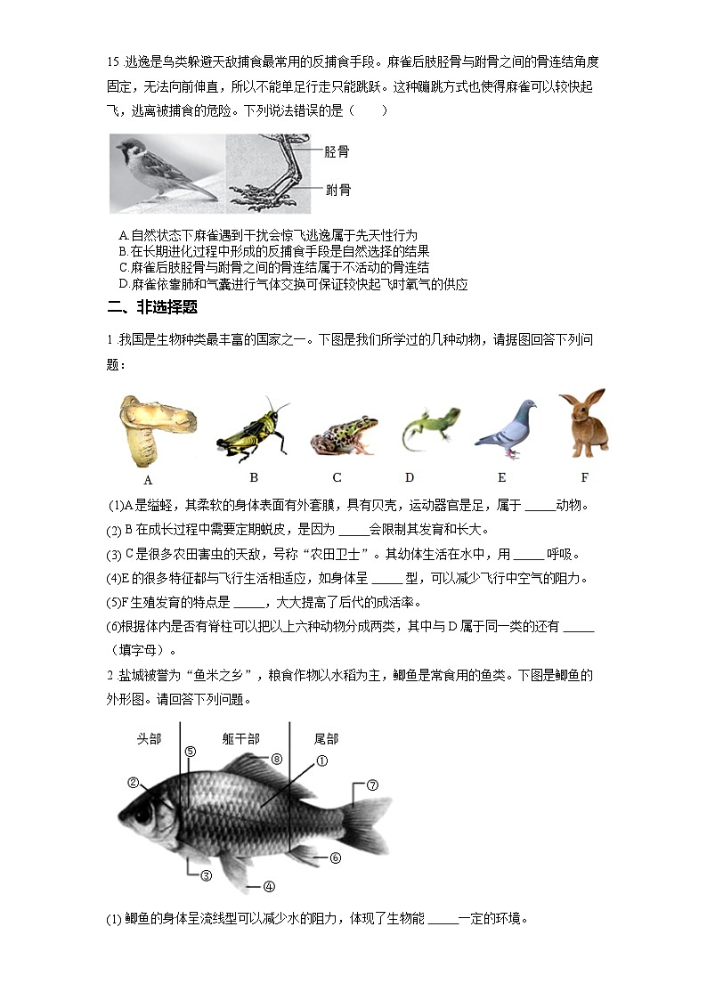 2025年中考生物一轮复习考点通关练习专题20 动物的主要类群（原卷版）第3页