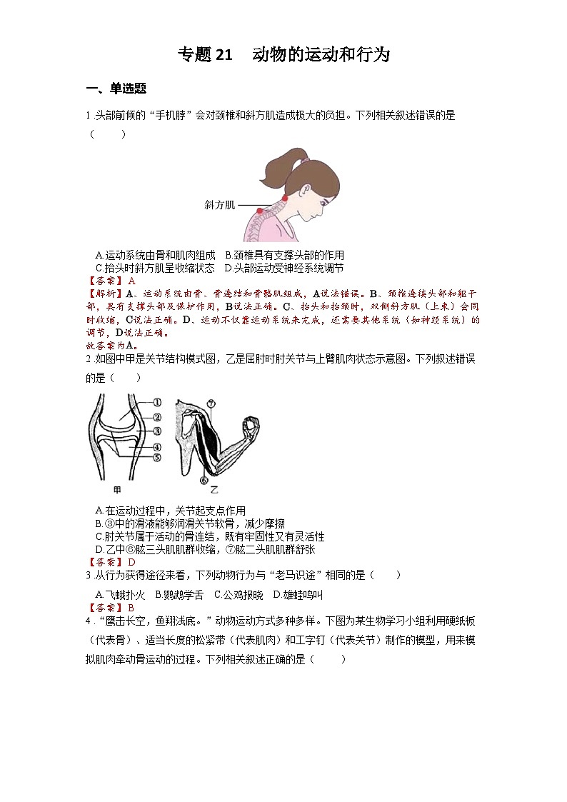 2025年中考生物一轮复习考点通关练习专题21 动物的运动和行为（解析版）第1页