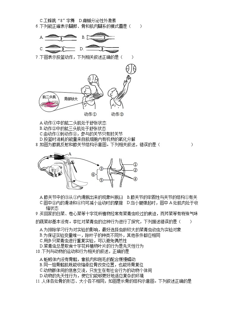 2025年中考生物一轮复习考点通关练习专题21 动物的运动和行为（原卷版）第2页