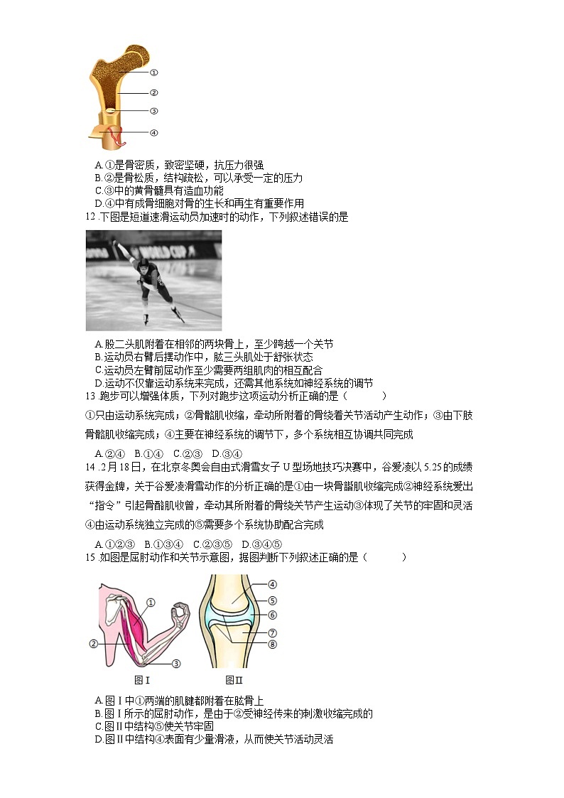 2025年中考生物一轮复习考点通关练习专题21 动物的运动和行为（原卷版）第3页