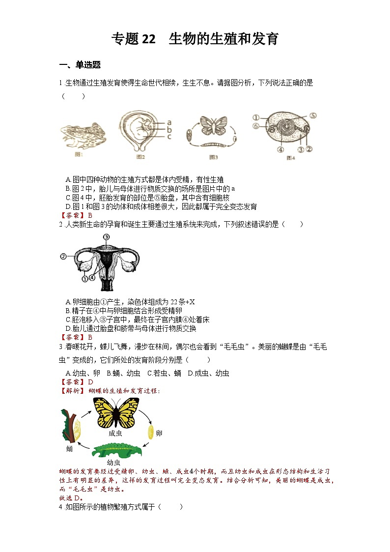2025年中考生物一轮复习考点通关练习专题22 生物的生殖和发育（解析版）第1页
