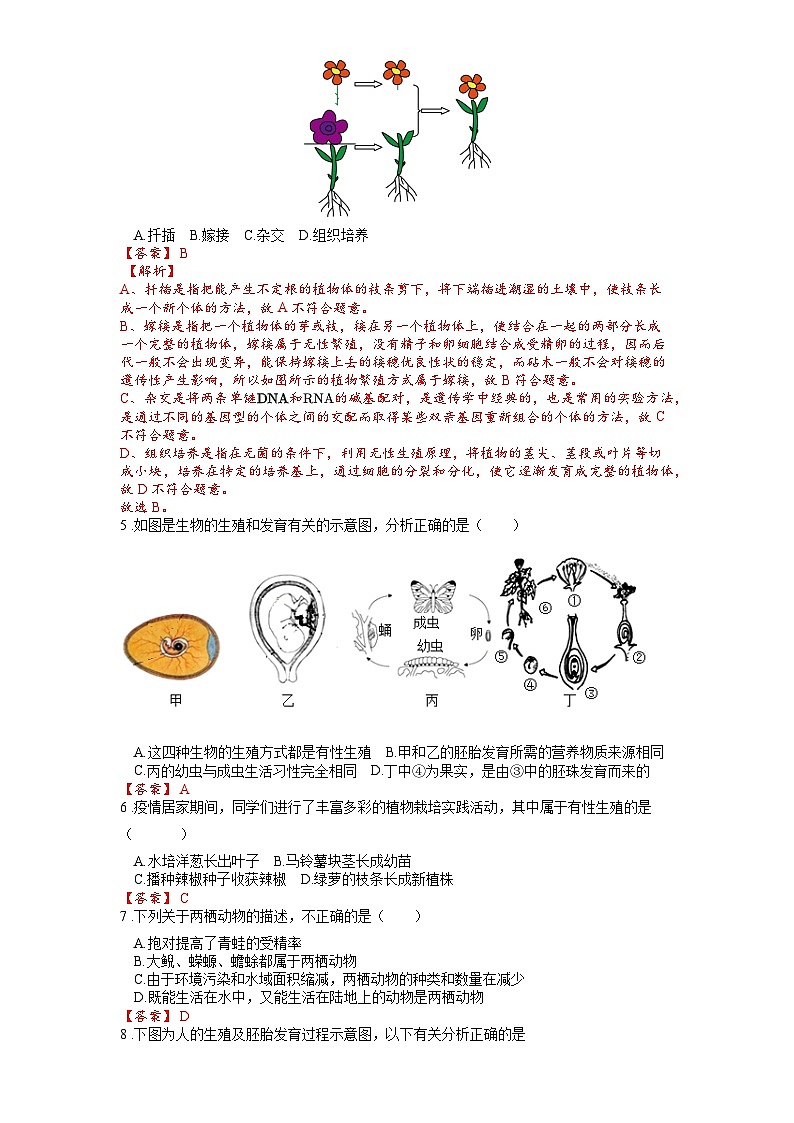 2025年中考生物一轮复习考点通关练习专题22 生物的生殖和发育（解析版）第2页