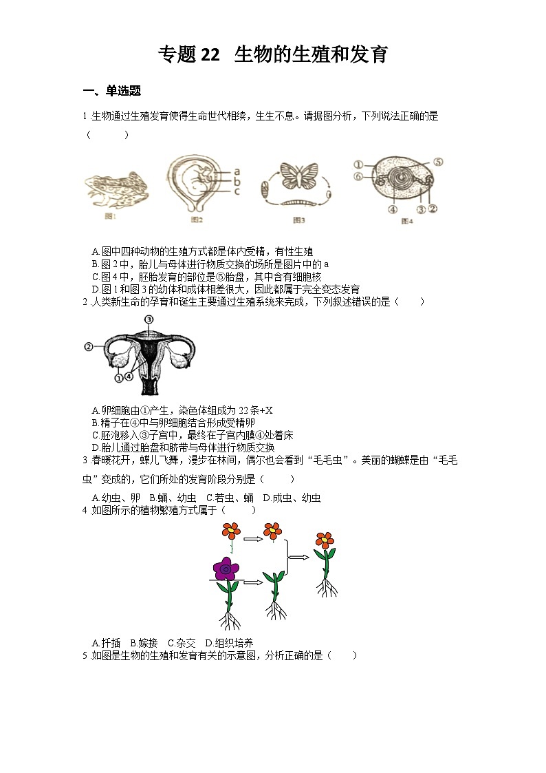 2025年中考生物一轮复习考点通关练习专题22 生物的生殖和发育（原卷版）第1页
