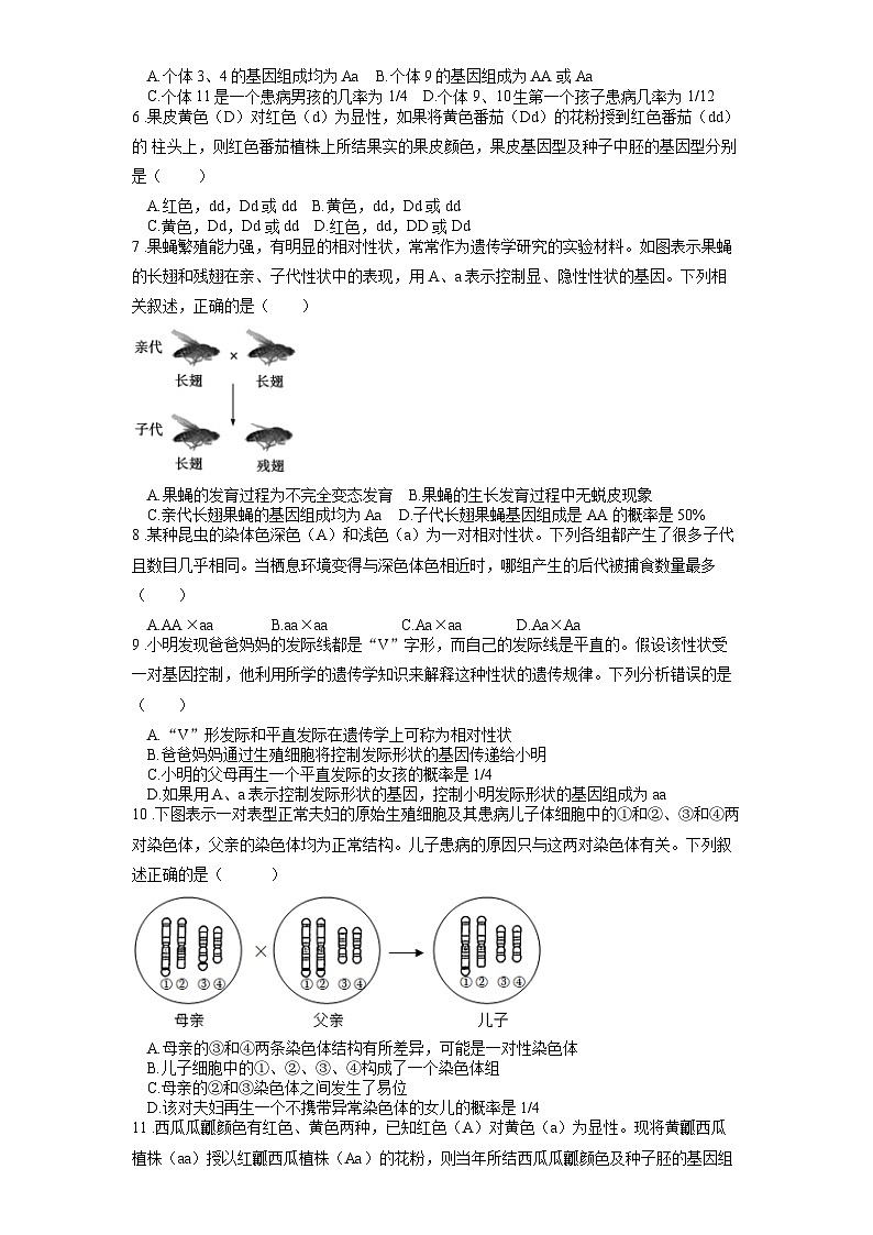 2025年中考生物一轮复习考点通关练习专题23 生物的遗传和变异（原卷版）第2页