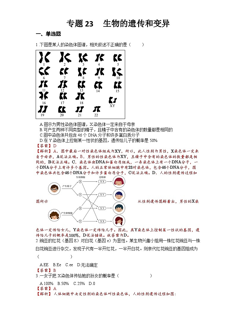 2025年中考生物一轮复习考点通关练习专题23 生物的遗传和变异（解析版）第1页
