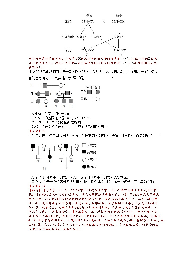 2025年中考生物一轮复习考点通关练习专题23 生物的遗传和变异（解析版）第2页