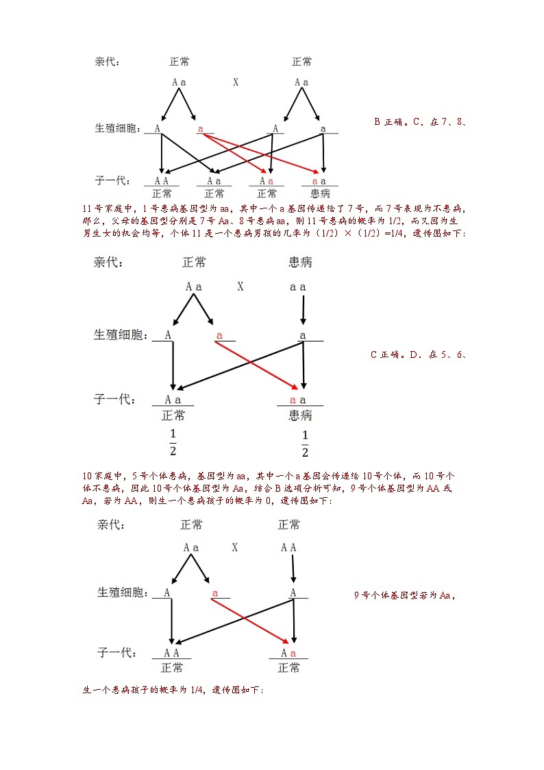 2025年中考生物一轮复习考点通关练习专题23 生物的遗传和变异（解析版）第3页