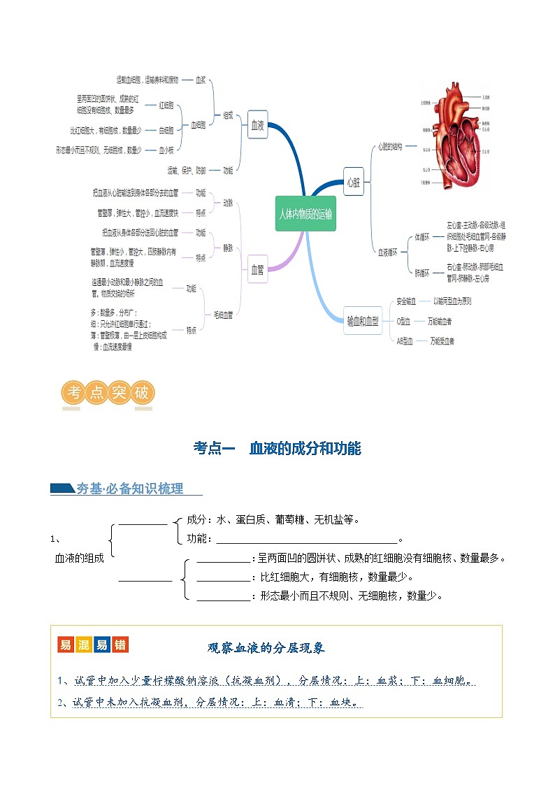 （通用版）中考生物一轮复习考点讲义专题12 人体内物质的运输（原卷版）第3页