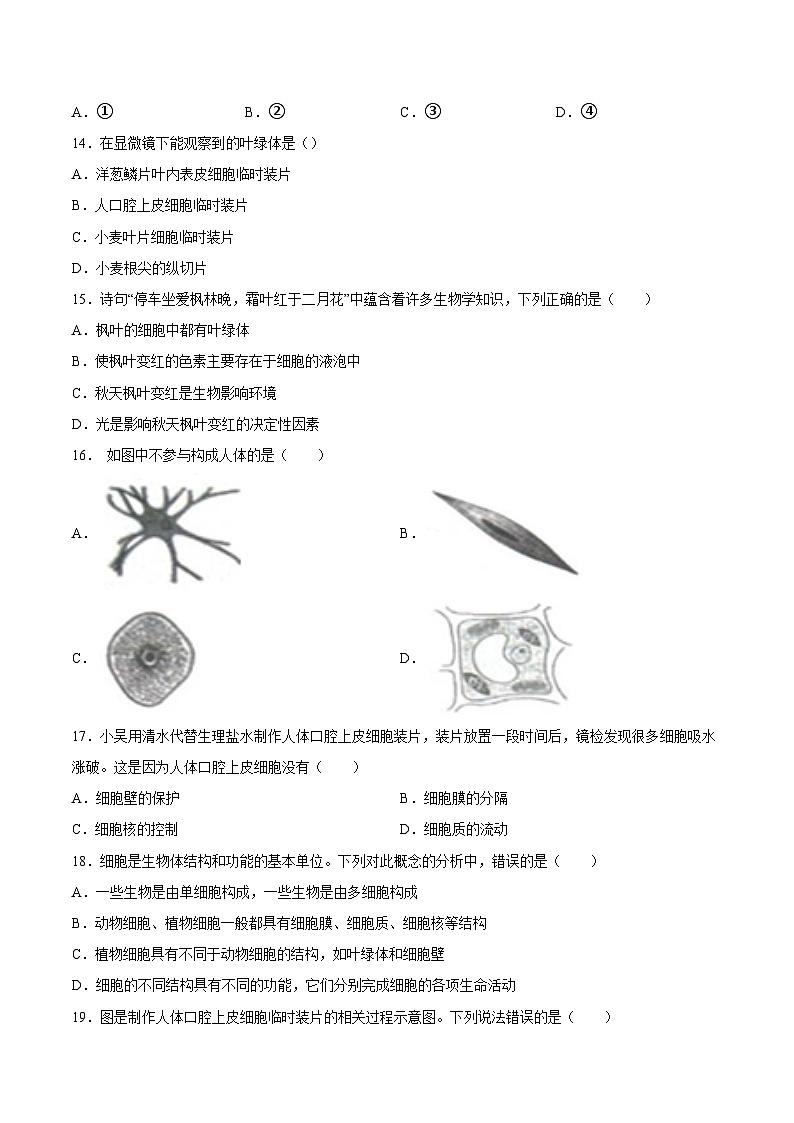 2025年中考生物一轮复习精讲精练专题02 细胞是生命活动的基本单位（原卷版）第3页